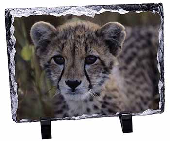 Cheetah, Stunning Photo Slate