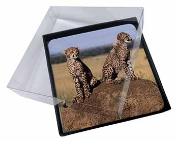 4x Cheetahs on Watch Picture Table Coasters Set in Gift Box