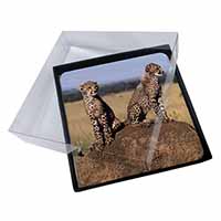 4x Cheetahs on Watch Picture Table Coasters Set in Gift Box