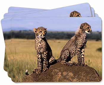Cheetahs on Watch Picture Placemats in Gift Box