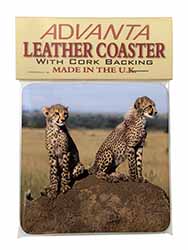 Cheetahs on Watch Single Leather Photo Coaster