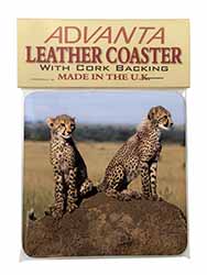 Cheetahs on Watch Single Leather Photo Coaster