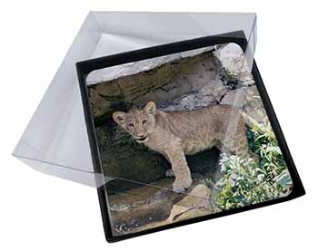 4x Lion Cub Picture Table Coasters Set in Gift Box