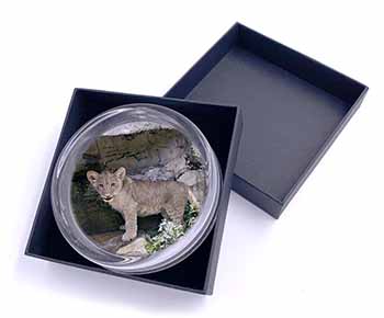 Lion Cub Glass Paperweight in Gift Box
