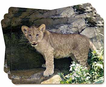 Lion Cub Picture Placemats in Gift Box