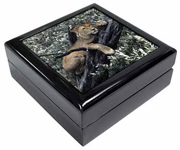 Lioness in Tree Keepsake/Jewellery Box