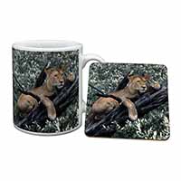 Lioness in Tree Mug and Coaster Set
