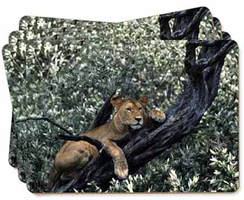 Lioness in Tree Picture Placemats in Gift Box