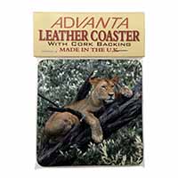 Lioness in Tree Single Leather Photo Coaster