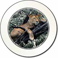 Lioness in Tree Car or Van Permit Holder/Tax Disc Holder