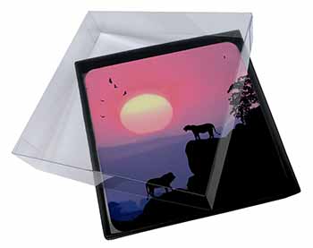4x African Lions Sunrise Picture Table Coasters Set in Gift Box