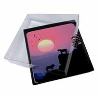 4x African Lions Sunrise Picture Table Coasters Set in Gift Box