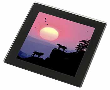 African Lions Sunrise Black Rim High Quality Glass Coaster