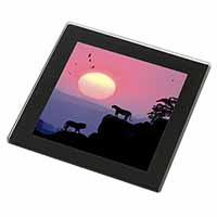 African Lions Sunrise Black Rim High Quality Glass Coaster