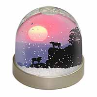 African Lions Sunrise Snow Globe Photo Waterball