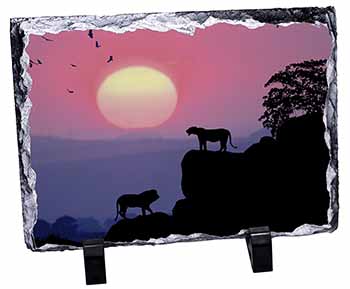 African Lions Sunrise, Stunning Photo Slate
