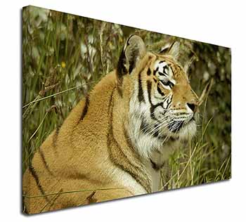 Bengal Tiger Canvas X-Large 30"x20" Wall Art Print