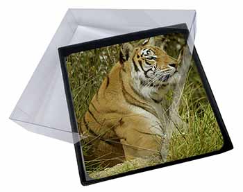 4x Bengal Tiger Picture Table Coasters Set in Gift Box