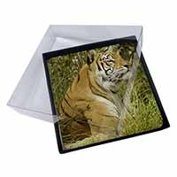 4x Bengal Tiger Picture Table Coasters Set in Gift Box - Advanta Group®