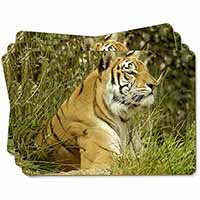 Bengal Tiger Picture Placemats in Gift Box