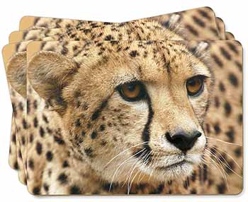 Cheetah Picture Placemats in Gift Box