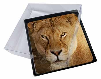 4x Lioness Picture Table Coasters Set in Gift Box