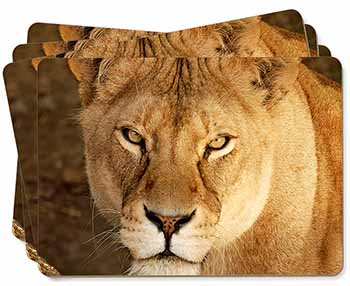 Lioness Picture Placemats in Gift Box