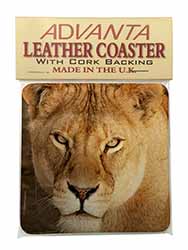 Lioness Single Leather Photo Coaster