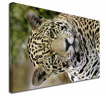 Leopard Canvas X-Large 30"x20" Wall Art Print