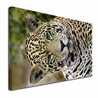 Leopard Canvas X-Large 30"x20" Wall Art Print