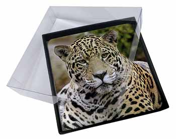 4x Leopard Picture Table Coasters Set in Gift Box