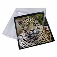 4x Leopard Picture Table Coasters Set in Gift Box