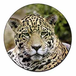 Leopard Fridge Magnet Printed Full Colour