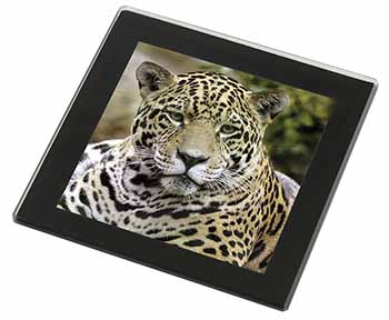 Leopard Black Rim High Quality Glass Coaster