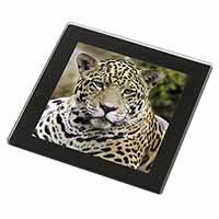 Leopard Black Rim High Quality Glass Coaster