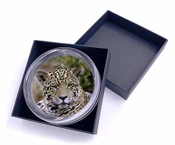 Leopard Glass Paperweight in Gift Box