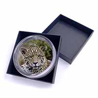 Leopard Glass Paperweight in Gift Box