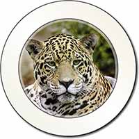 Leopard Car or Van Permit Holder/Tax Disc Holder