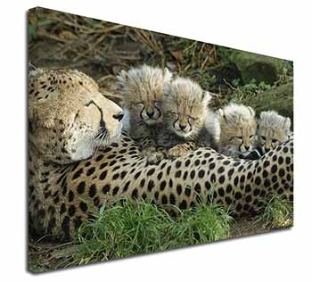 Cheetah and Newborn Babies Canvas X-Large 30"x20" Wall Art Print
