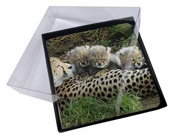 4x Cheetah and Newborn Babies Picture Table Coasters Set in Gift Box