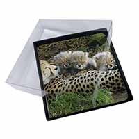 4x Cheetah and Newborn Babies Picture Table Coasters Set in Gift Box