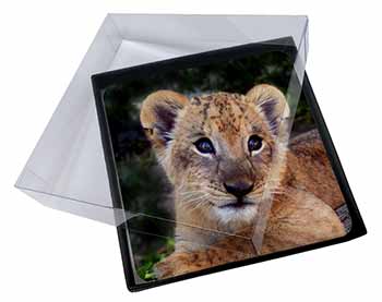 4x Cute Lion Cub Picture Table Coasters Set in Gift Box