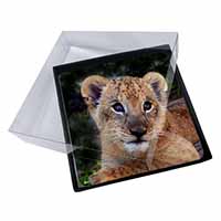 4x Cute Lion Cub Picture Table Coasters Set in Gift Box