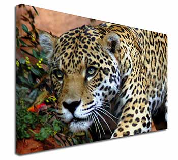 Jaguar Canvas X-Large 30"x20" Wall Art Print