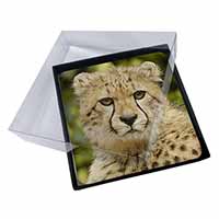 4x Cheetah Picture Table Coasters Set in Gift Box