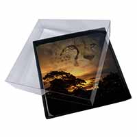 4x Cheetah Watch Picture Table Coasters Set in Gift Box