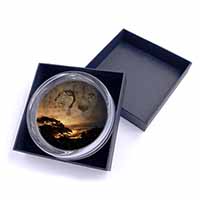 Cheetah Watch Glass Paperweight in Gift Box