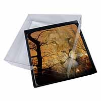 4x Lion Spirit Watch Picture Table Coasters Set in Gift Box