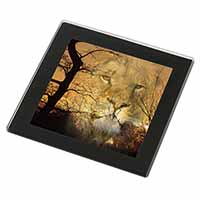 Lion Spirit Watch Black Rim High Quality Glass Coaster