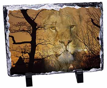 Lion Spirit Watch, Stunning Photo Slate